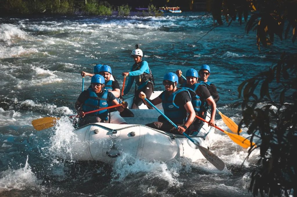 WhatsApp Image 2025-03-04 at 3.50.51 PM