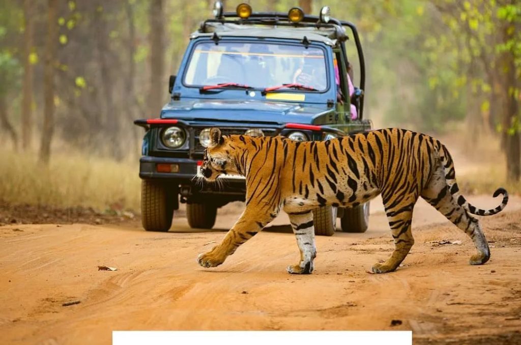 WhatsApp Image 2025-03-04 at 3.50.52 PM