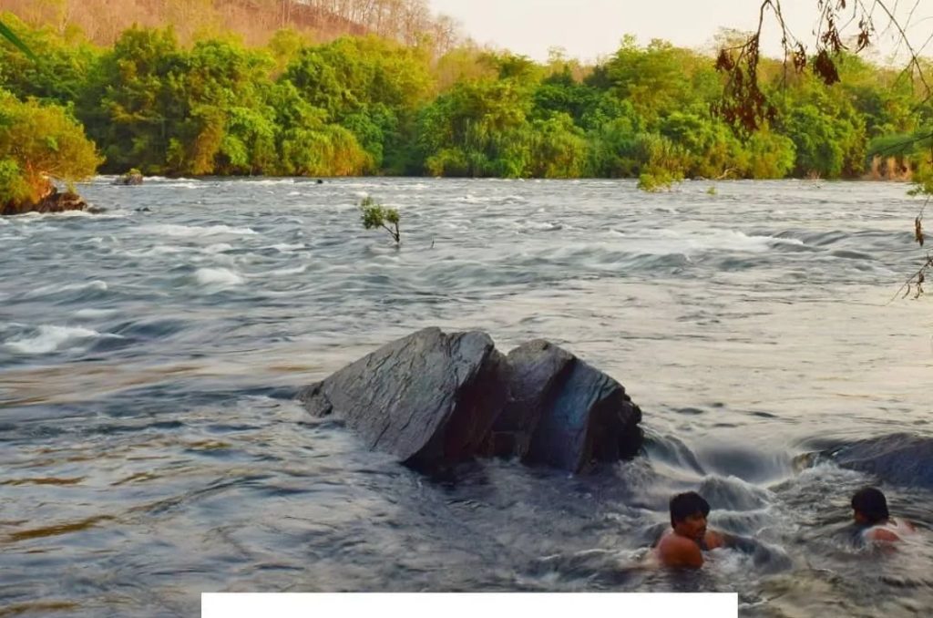 WhatsApp Image 2025-03-04 at 3.50.53 PM (1)