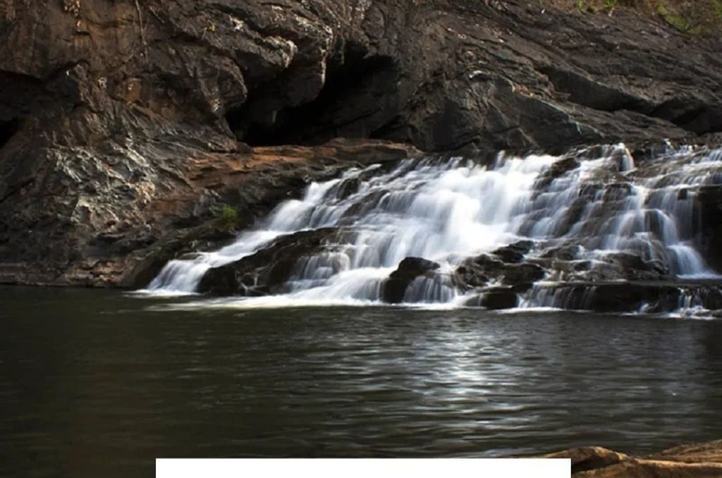 WhatsApp Image 2025-03-04 at 3.50.53 PM