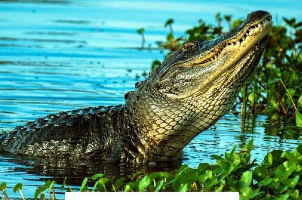 WhatsApp Image 2025-03-04 at 3.50.54 PM (1)